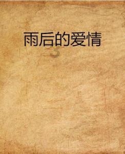 战斗机的反击