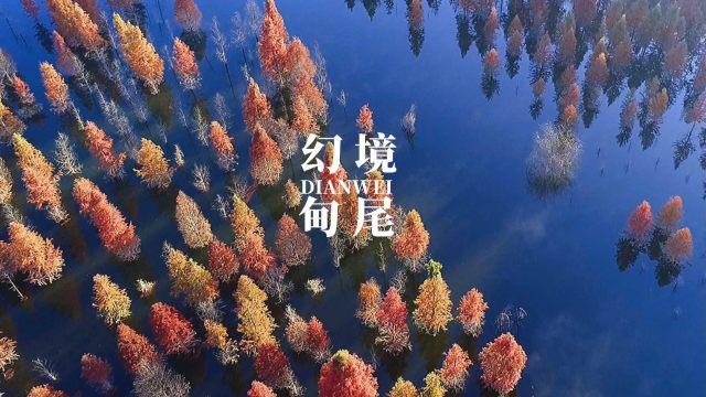 选腻子太麻烦了,我都用耐水型的可不可以?-专业问答网站,解答您的疑惑