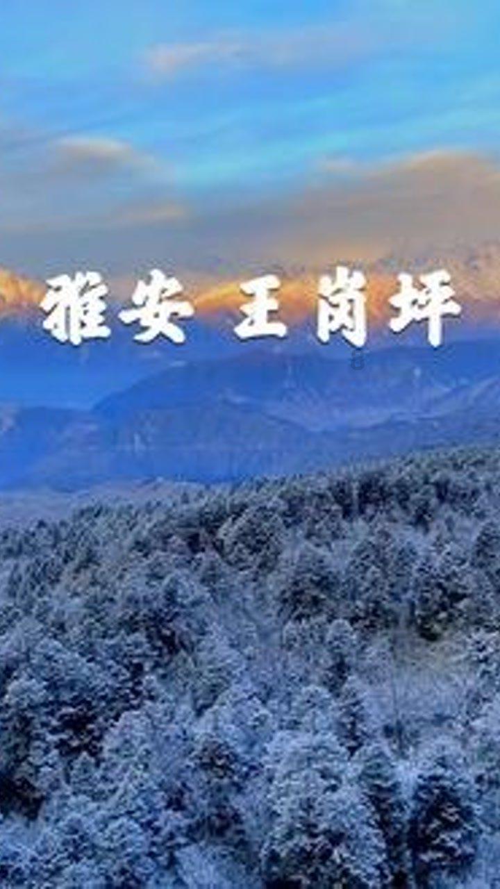 岳国栋参加人大代表分团审议