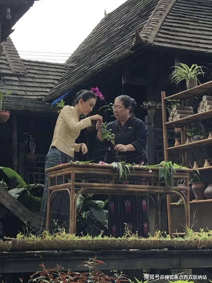 “挥毫泼墨画乾坤,龙飞凤舞迎新春”——2024山东省书画家迎新春联谊会在济南成功举办