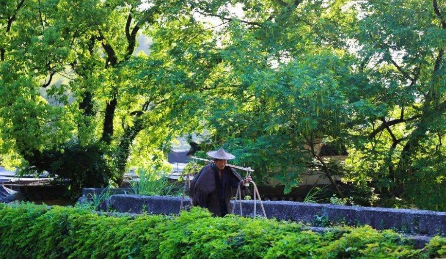 汉王纷争
