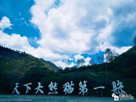 警察战僵尸无敌版