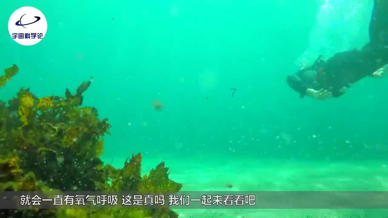 甄暖 长期吃一片维生素C的人,身体有什么变化?