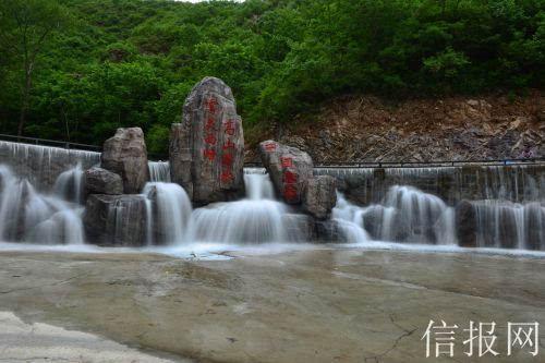 生化危机：浣熊市行动