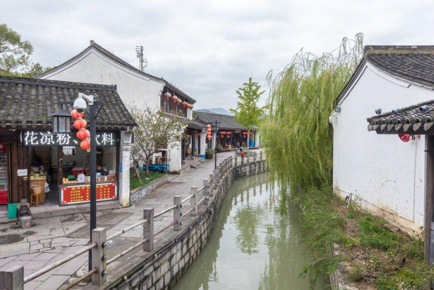 津彩南望 乐享文旅 津南区葛沽清水萝卜节启动