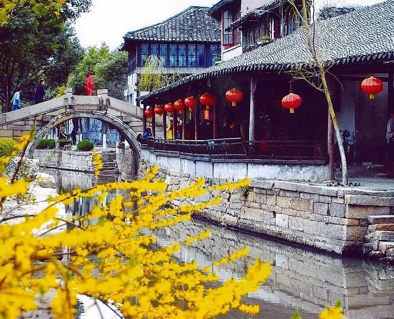 春雨直播app